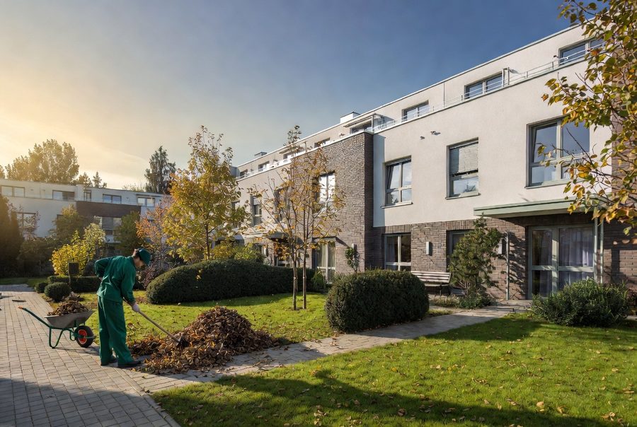 Sprzątanie terenów zielonych — Kraków